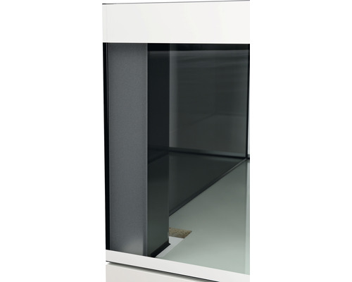 Aquarium met glazen bak en witte rand