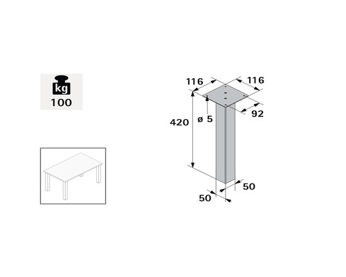Technische tekening van een tafelonderstel met maataanduidingen en een draagvermogen van 100 kilogram