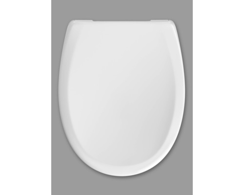 Toiletdeksel van sanitair keramiek, bovenaanzicht