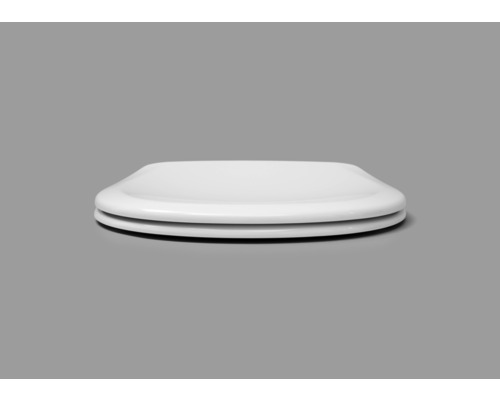 Toiletdeksel van kunststof