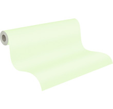 Rol schildersvlies