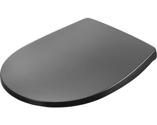 Toiletdeksel van kunststof