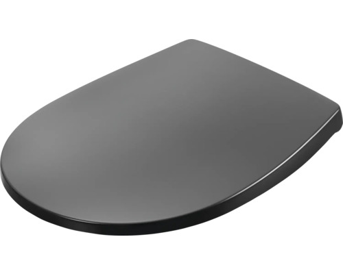 Toiletdeksel in grijstint voor een WC