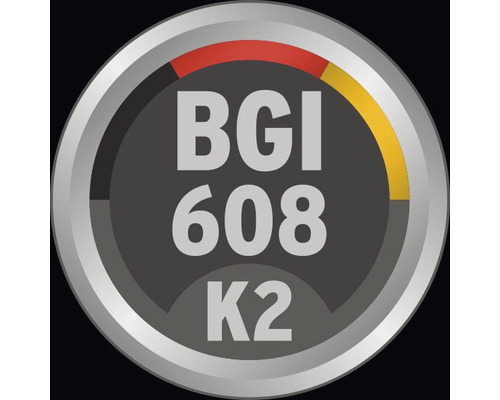 BGI 608 K2-zegel