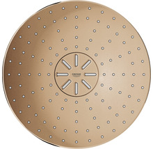 Grohe douchekop voor plafondmontage