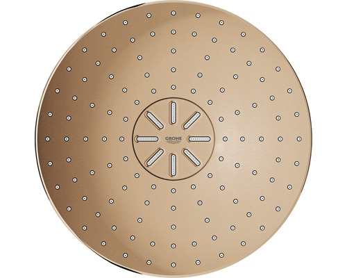 Grohe douchekop voor plafondmontage