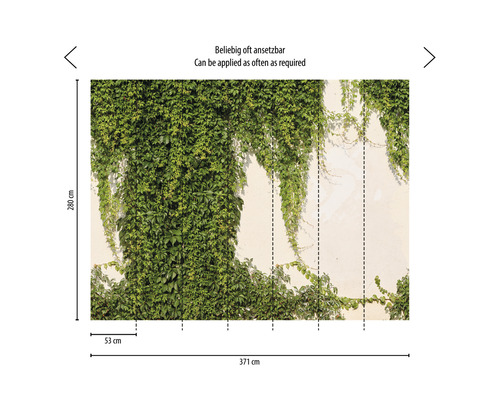 Behang met groene klimopbegroeiing, afmetingen 371 cm x 280 cm