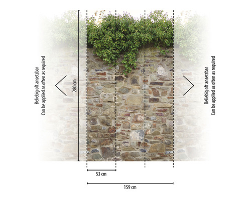 Fotobehang met stenen muur en planten, afmetingen 159 cm breed en 280 cm hoog