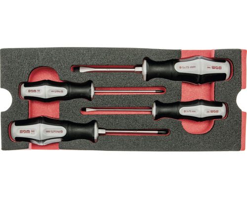 WGB schroevendraaierset met vier stuks in schuimrubber inleg