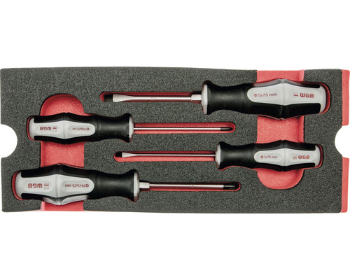 Schroevendraaierset met sleuf en kruiskop in schuimrubber inleg