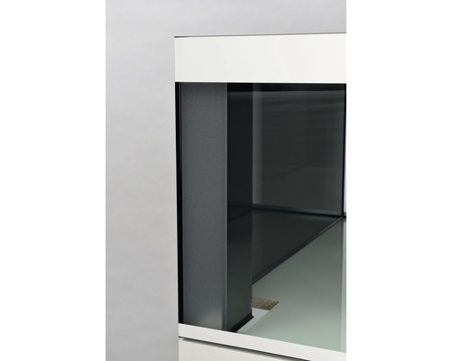 Detailaanzicht van een aquarium met grijze achterwand