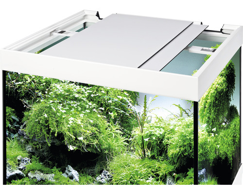 Aquarium met beplanting en gedeeltelijk geopende afdekking