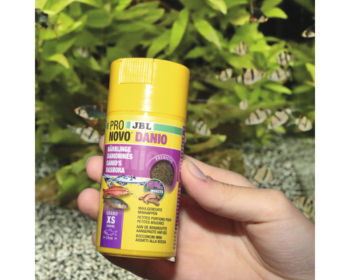 JBL Novo Danio visvoer potje in de hand