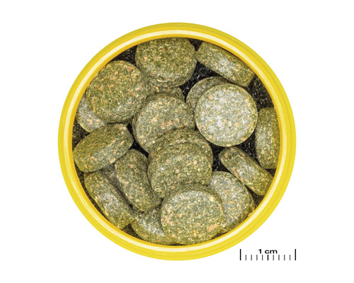 Visvoer tabletten in een doos