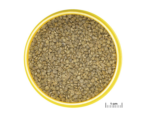 Visvoer pellets in een schaal
