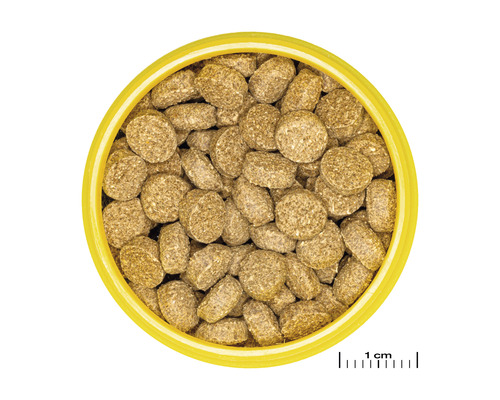 Hondenvoer in ronde vorm in de container