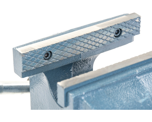 Bankschroef met bekken voor werkbank