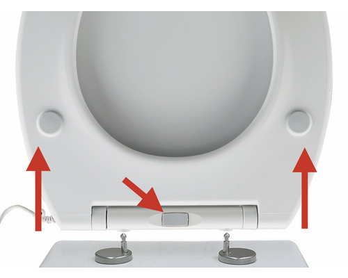 Detail van een toiletbril met afneembare functie
