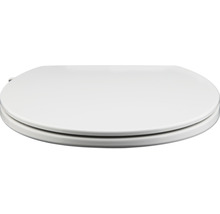 Toiletdeksel van kunststof