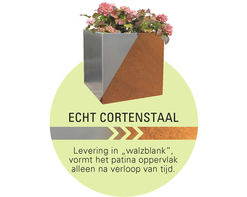Bloembak van cortenstaal met plant