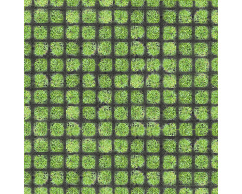Grastegels met grasbegroeiing