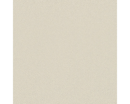 Lichte, licht gestructureerde muurverf voor binnen