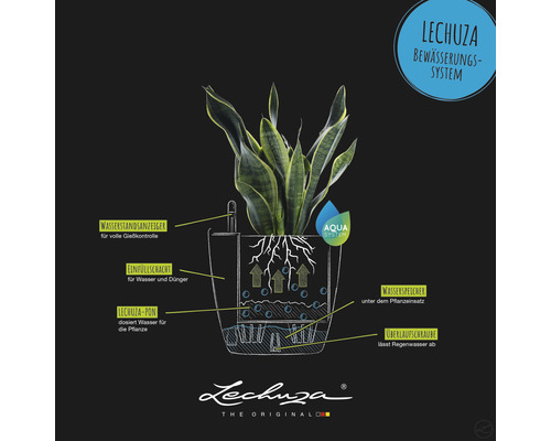 Grafische weergave van een Lechuza bewateringssysteem met plant, waterniveau-indicator, vulschacht, waterreservoir en overloop.