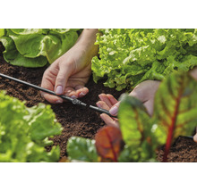 Tuinbewateringssysteem wordt tussen slaplanten aangelegd