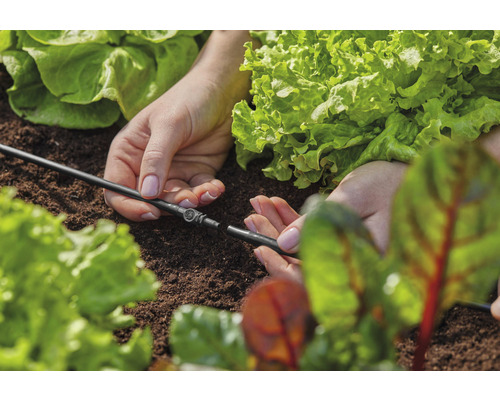 Tuinbewateringssysteem wordt tussen slaplanten aangelegd