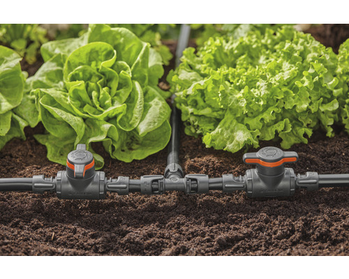 Tuinbewateringssysteem met slaplanten