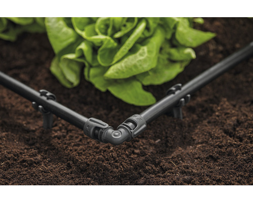 Hoekstuk van irrigatiesysteem met druppelslang in tuinbed