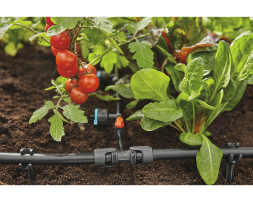 Irrigatiesysteem voor planten in de tuin