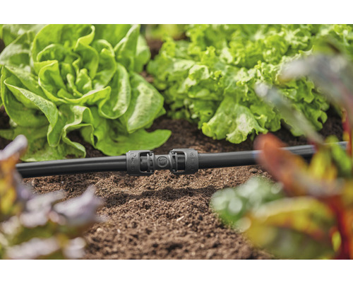 Irrigatiesysteem met T-stuk in de moestuin