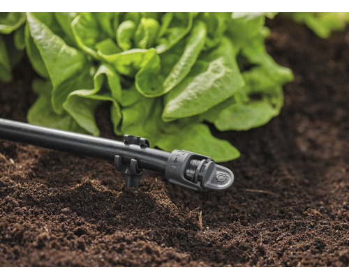 Bewateringssysteem met druppelslang en slaplanten in de tuinbodem