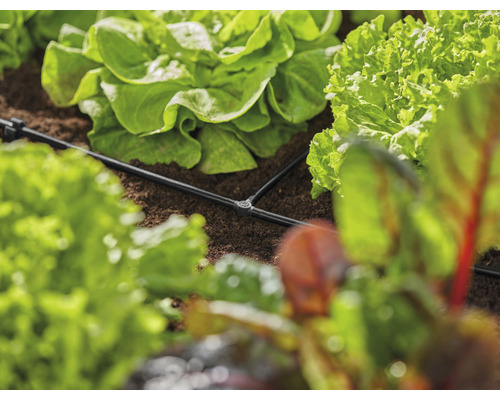 Irrigatiesysteem tussen slaplanten in de tuin