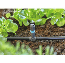 Irrigatiesysteem met druppelaar voor plantenwater in de tuin