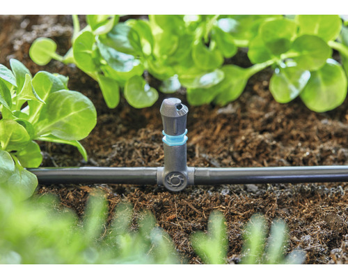 Irrigatiesysteem met druppelaar voor plantenwater in de tuin