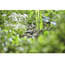 Druppelirrigatie in de tuin met planten