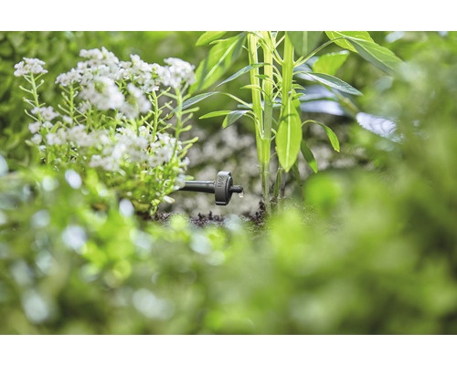 Druppelirrigatie in de tuin met planten