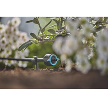 Druppelirrigatie in de tuin voor het water geven van planten
