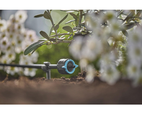 Druppelirrigatie in de tuin voor het water geven van planten