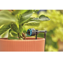 Druppelirrigatie met instelbare druppelaar op plant in pot