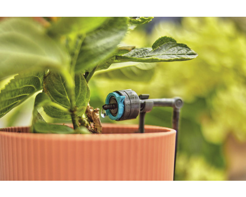 Druppelirrigatie met instelbare druppelaar op plant in pot