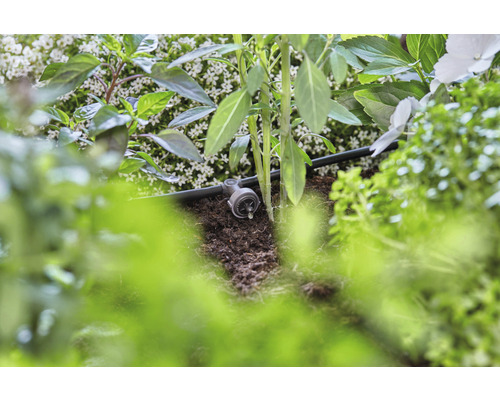 Druppelirrigatiesysteem in gebruik tussen planten en aarde