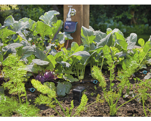 Moestuin met irrigatiesysteem en elektronische bediening op de waterkraan