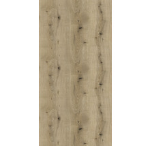 Houten plaat met natuurlijke nerf