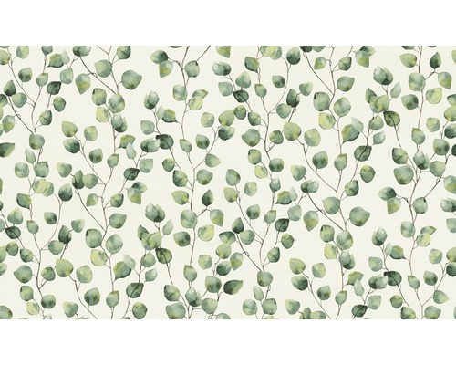 Eucalyptusbladeren patroon