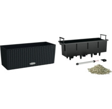 Lechuza balkonbak met irrigatiesysteem en accessoires