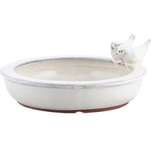 Keramische vogeldrinkbak met vogeldecoratie