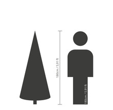 Groottevergelijking: Boom (180 cm) naast persoon (180 cm)